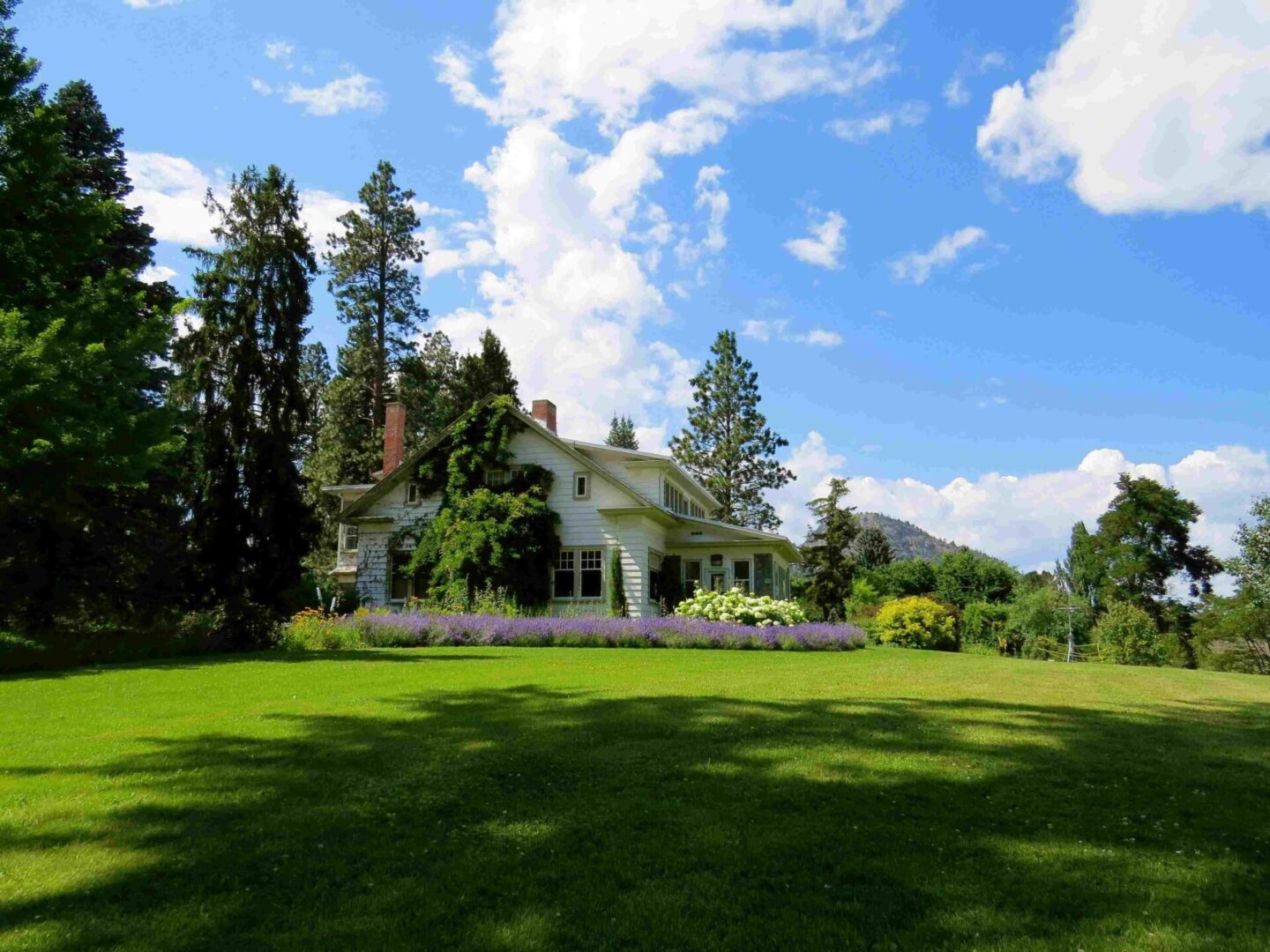 White house with green lawn and trees.