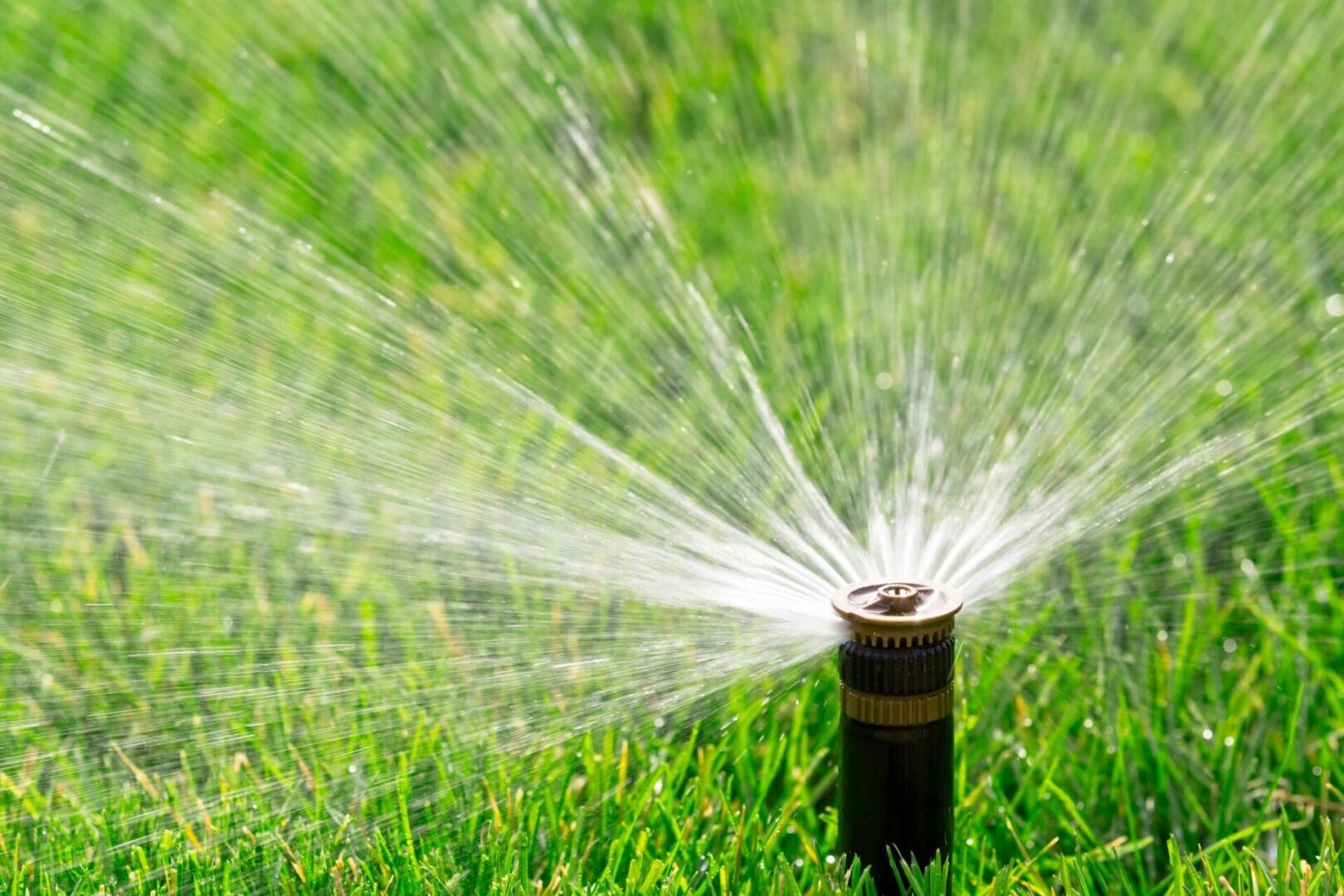 Sprinkler watering green grass lawn.