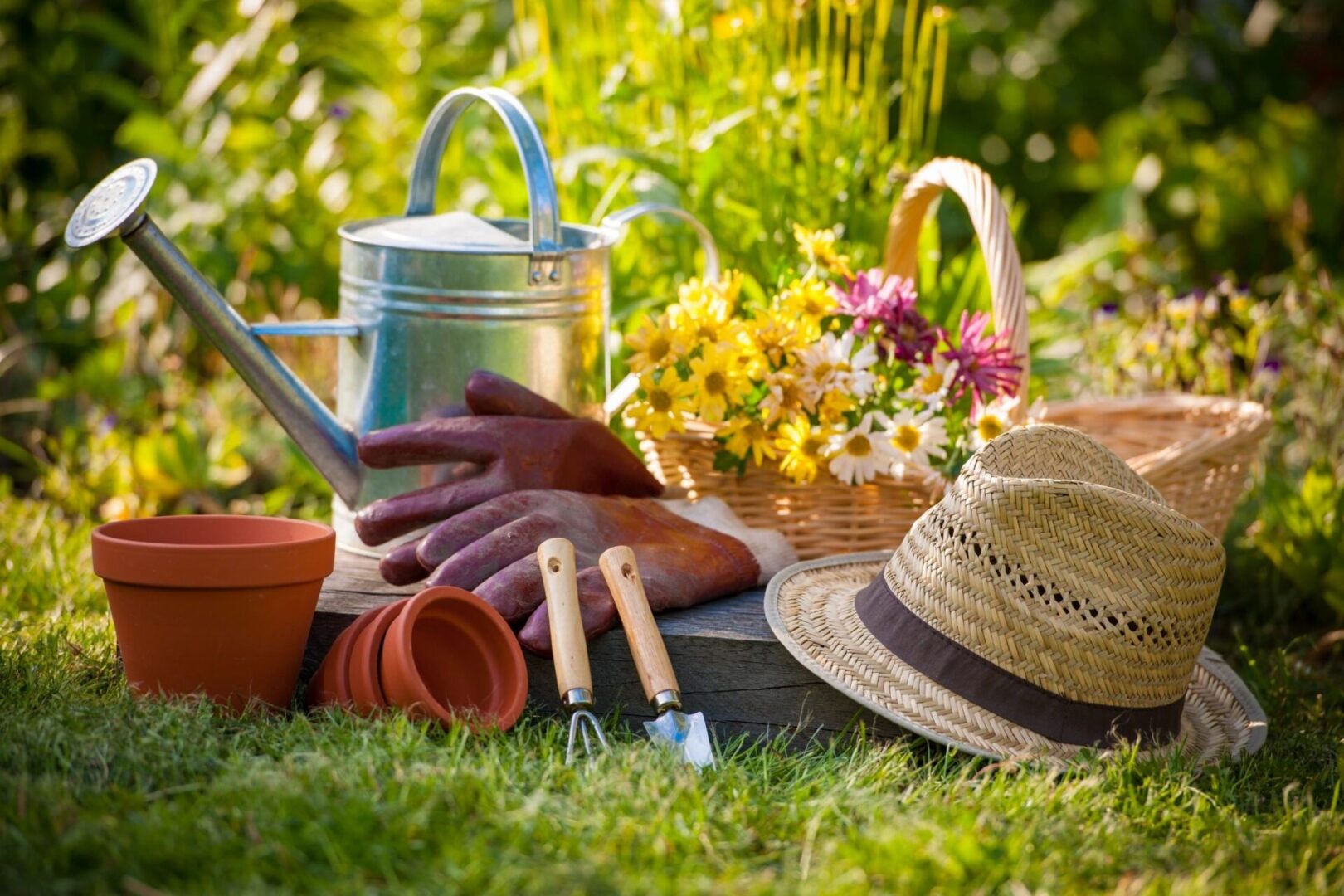 Gardening tools and flowers in grass.