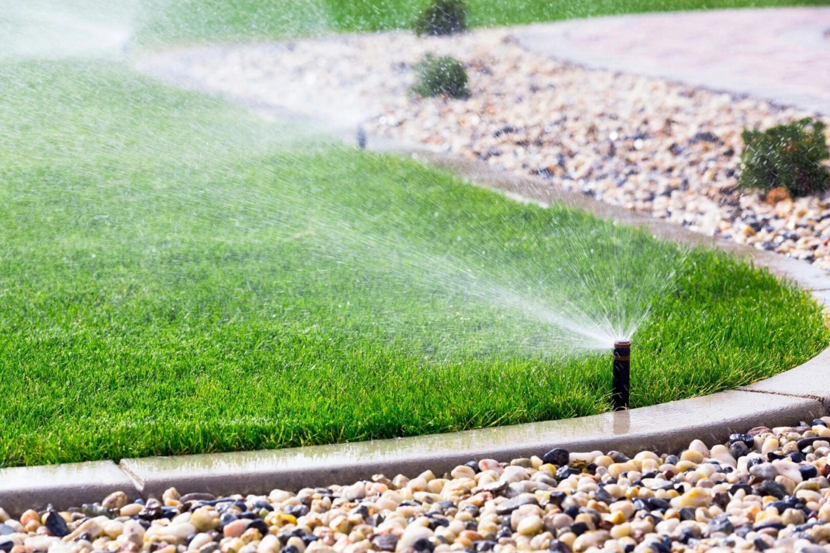 Sprinkler watering a green lawn.